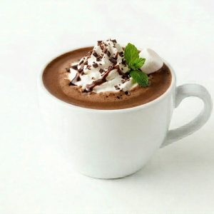 Hot Chocolate Regular Milk 12oz