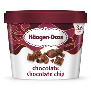 Haagen-Dazs 3.6oz Chocolate Chocolate Chip